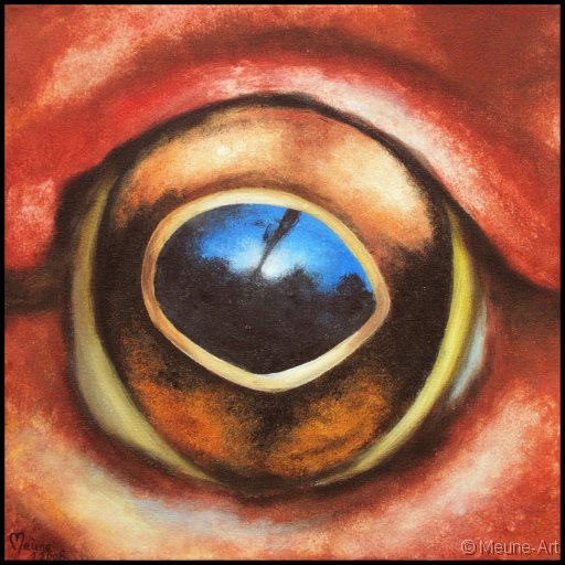 Augenblick eines Tomatenfrosches I Acryl auf Leinwand;
30 x 30 cm